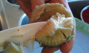 Peeling the choke off of the artichoke heart.