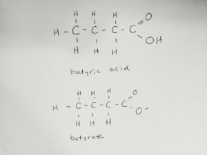 Structure of butyrate